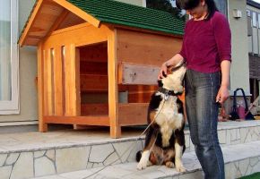 大きな大きなバーニーズ犬が快適に過ごせるように通気窓も付けおしゃれに仕上げました